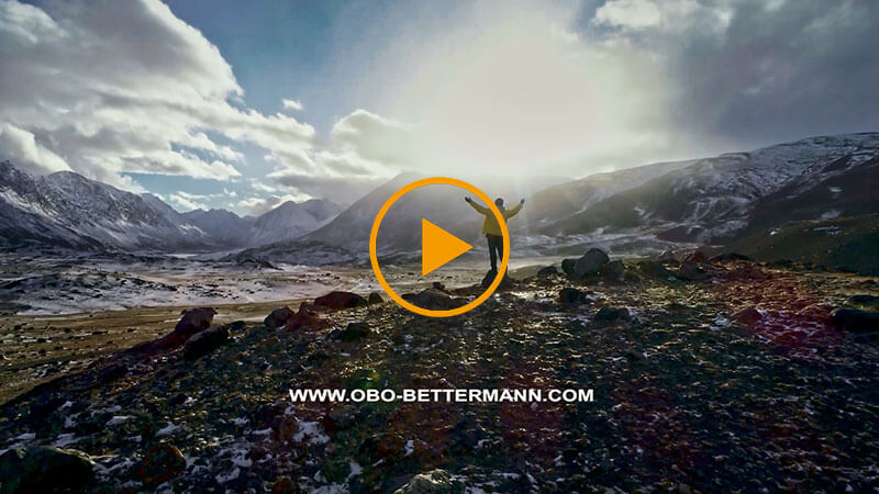 obo-bettermann-image