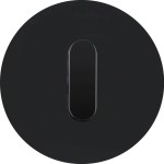 Berker 1001205500 Abdeckplatte mit Knebel Serie R.Classic Glas schwarz 