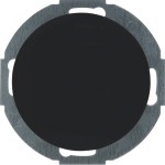 Berker 10092035 Blindverschluss mit Zentralstück Serie R.Classic schwarz glänzend 