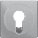 Berker 15076084 Zentralstück für Schlüsselschalter/-taster Q.1/Q.3 alu samt lackiert 