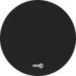 Berker 16202015 Wippe mit Aufdruck Symbol Tür R.1/R.3 schwarz glänzend 