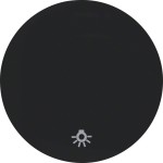 Berker 16202035 Wippe mit Aufdruck Symbol Licht R.1/R.3 schwarz glänzend 