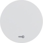 Berker 16202059 Wippe mit Aufdruck Symbol Tür R.1/R.3 polarweiß glänzend 