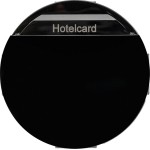 Berker 16402035 Relais-Schalter mit Zentralstück für Hotelcard R.Classic schwarz glänzend 