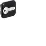 Berker 18223503 Linse mit Aufdruck Symbol Schlüssel W.1 10 Stück 