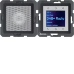 Berker 29806086 Radio Touch mit Lautsprecher DAB+ Q.1/Q.3/Q.7/Q.9 anthrazit samt 