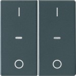 Berker 80962326 Abdeckung für Tastsensor-Modul 2-fach mit I/O-Symbol Q.1/Q.3/Q.7/Q.9 anthrazit 