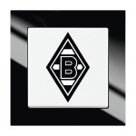 Busch-Jaeger 2000/6 UJ/05 Fanschalter Borussia Mönchengladbach Aus- und Wechselschaltung 2CKA001012A2205 
