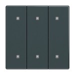 Busch-Jaeger 2570-30-81 Wippe 3-fach Elektroniktaster anthrazit 2CKA001751A3283 