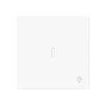 Busch-Jaeger 1789 LI-44G Busch-art linear® Wippe mit Symbol Licht mit transparenter Kalotte 2CKA001751A3373 