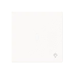 Busch-Jaeger 1789 LI-44M Busch-art linear® Wippe mit Symbol "Licht" mit transparenter Kalotte 2CKA001751A3374 