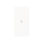 Busch-Jaeger 6231-21-44G Wippe 2-fach, links mit Symbol Licht 2CKA006220A0948 