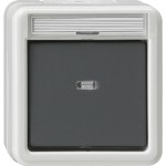 Gira 011230 Wipp-Kontrollschalter 10AX 250V mit Beschriftungsfeld Ausschalter 2-polig Grau 