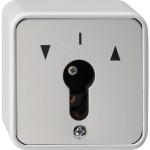 Gira 014430 WG AP Schlüsselschalter für alle DIN-Profilhalbzylinder Schalter 2-polig Grau 
