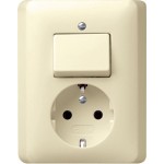 Gira 017601 Kombi AusWe/SCHUKO Vollpl. Standard 55 Cremeweiß 