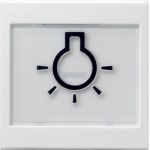 Gira 021603 Wippe mit großem Beschriftungsfeld und großem abtastbaren Symbol Licht Reinweiß glänzend 