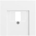 Gira 027672 Abdeckung für TAE und USB in Reinweiß seidenmatt lackiert (Zubehör) 