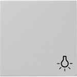 Gira 0285015 Wippe mit Symbol Licht Grau matt 