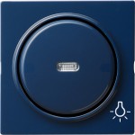 Gira 028546 Abdeckung mit Symbol und Wippe mit Kontrollfenster Licht Blau 