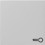Gira 0287015 Wippe mit Symbol Tür Grau matt 
