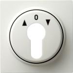 Gira 066440 Abdeckung für Schlüsselschalter und Schlüsseltaster Reinweiß 