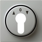 Gira 066442 Abdeckung für Schlüsselschalter und Schlüsseltaster Grau 