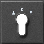 Gira 066467 Abdeckung für Schlüsselschalter und Schlüsseltaster Anthrazit 