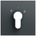 Gira 066473 Abdeckung für Schlüsselschalter und Schlüsseltaster in anthrazit lackiert passend für System 70 (Zubehör) 