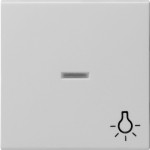 Gira 0674015 Wippe mit Kontrollfenster und Symbol Licht Grau matt 