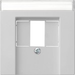 Gira 0876015 Abdeckung für TAE und USB mit Beschriftungsfeld Grau matt 