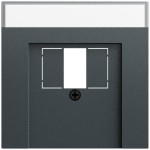 Gira 087673 Abdeckung mit Beschriftungsfeld in anthrazit lackiert passend für TAE und USB (Zubehör) 