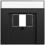Gira 087674 Abdeckung mit Beschriftungsfeld für TAE und USB in Schwarz matt lackiert (Zubehör) 