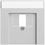 Gira 087676 Abdeckung mit Beschriftungsfeld für TAE und USB in Grau matt lackiert (Zubehör) 
