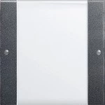 Gira 213128 Wippenset 1f BSF System 55 Klar/Anthrazit 