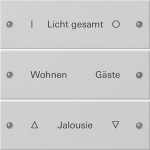 Gira 2203015 Wippenset 3f beschr. System 55 Grau m(lack.) 