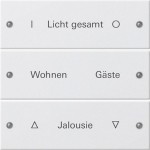 Gira 220327 Wippenset 3f beschr. System 55 Reinweiß m(lack.) 