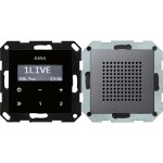 Gira 228028 Unterputz-Radio RDS mit einem Lautsprecher Bedienaufsatz in Schwarzglasoptik Anthrazit 