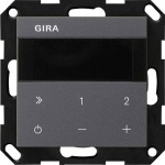 Gira 232028 Unterputz-Radio IP Anthrazit 
