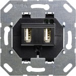 Gira 235900 Einsatz USB-Spannungsversorgung 2-fach Typ A / Typ A Schwarz 