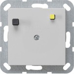 Gira 2664015 FI-Schutzschalter mit 30 mA Fehlerstromauslösung, grau matt lackiert, passend für System 55 