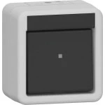 Gira 310730 Wippschalter Kreuz WG AP Grau 