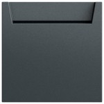 Gira 314073 Hotel-Card-Schalter 10 A 250 V~ anthrazit lackiert, 1-polig mit Neutralleiterklemme 