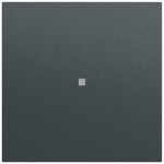 Gira 329073 Wippe mit Kontrollfenster in anthrazit lackiert passend für System 70 Programmübergreifend (Zubehör) 
