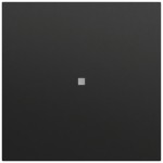 Gira 329074 Wippe mit Kontrollfenster in Schwarz matt lackiert passend für System 70 Programmübergreifend (Zubehör) 