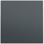 Gira 329673 Wippe System 70 Anthrazit lackiert 