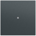 Gira 349073 Gerade Wippe mit Kontrollfenster in anthrazit lackiert passend für System 70 Programmübergreifend (Zubehör) 