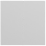 Gira 349576 Wippe 2f gerade System 70 Grau matt lackiert 