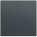 Gira 349673 Wippe gerade System 70 Anthrazit lackiert 