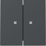 Gira 363128 Wippe 2f Kontrollf. System 55 Anthrazit 