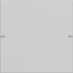 Gira 5021915 Wippenset 1-fach für Tastsensor 4 Grau matt (lackiert) 